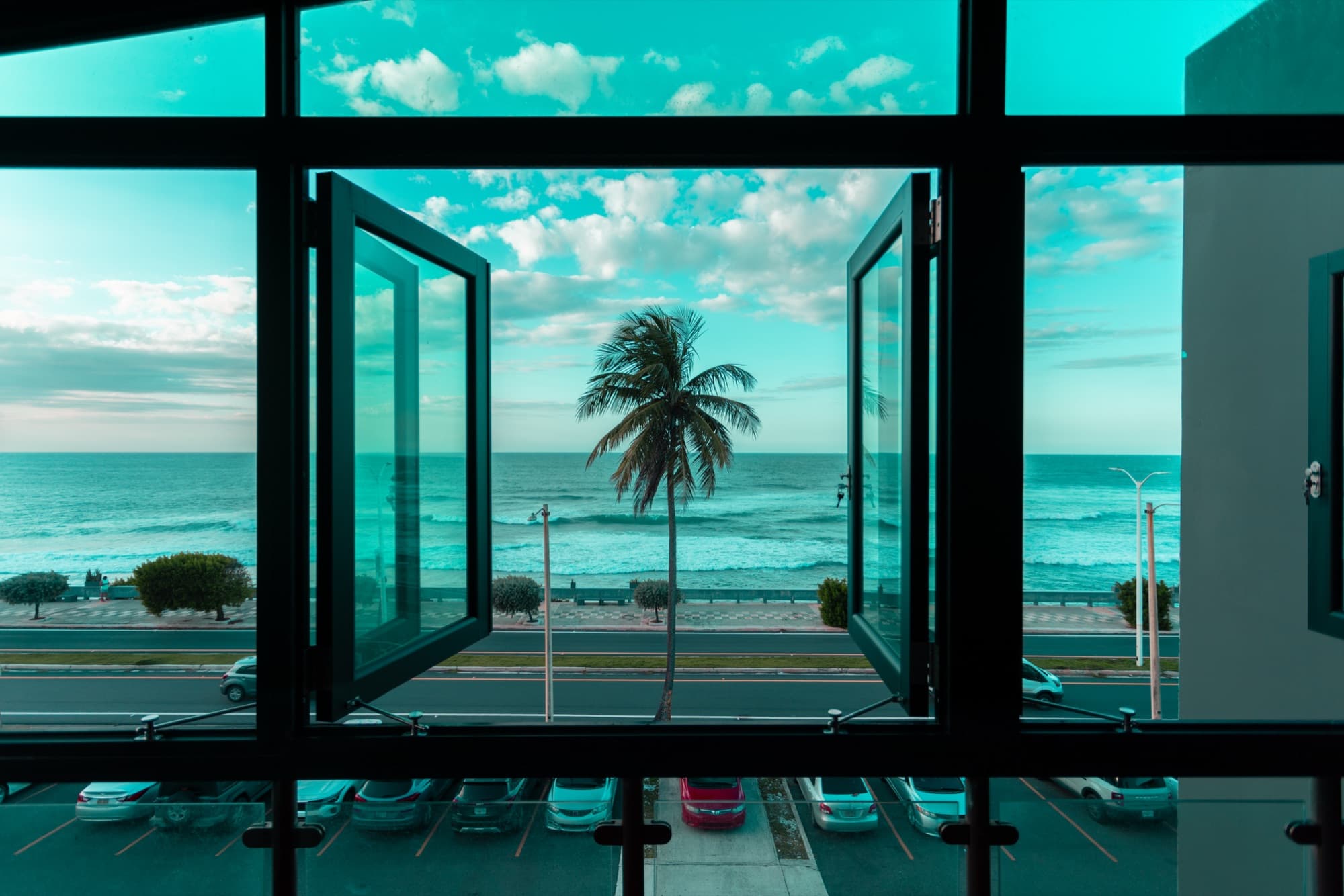 Palm seen through the restaurant window